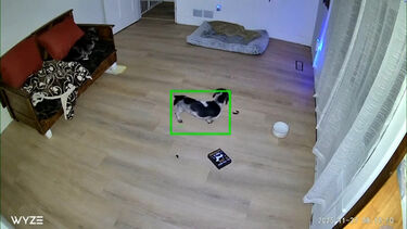 Imagens mostram o momento em que sismo de magnitude 6 atingiu o Alasca 