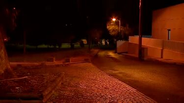 Homem encontrado morto com saco na cabeça na mata de Monsanto