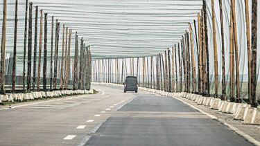 Batalhões internacionais combatem debaixo dos drones russos