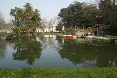 Menor detido por dois crimes com agressões no Campo Grande