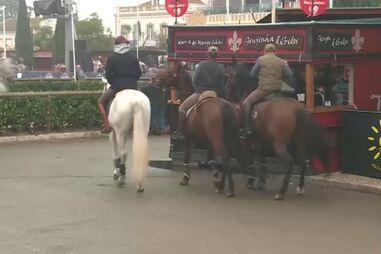 Homem esfaqueado na Feira Nacional do Cavalo na Golegã