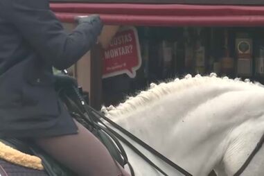 Rixa acaba à facada na Feira da Golegã