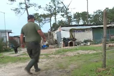 “Estavam praticamente tapados pela água”: Chuva intensa ameaça animais e casa de idoso em São Martinho do Porto