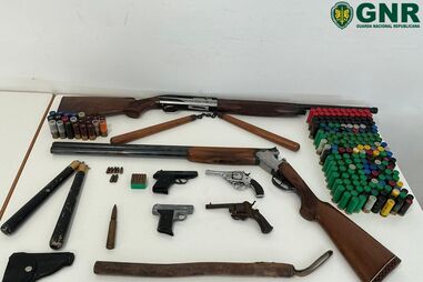 Detido homem de 71 anos que matou cavalo a tiro em Braga