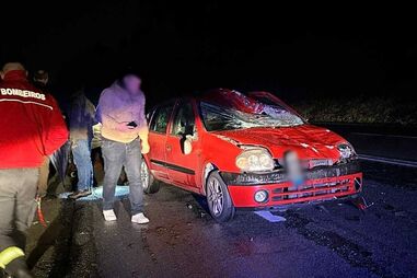 Carro colide contra dois cavalos na EN105 em Santo Tirso