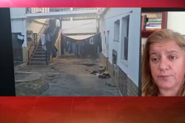 “Trabalham a troco de quase nada”: Tânia Laranjo sobre imigrantes "explorados” por alegadamente militares da GNR  