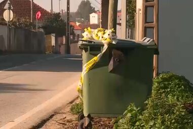 Jovem morre em despiste de motociclo no concelho de Porto de Mós