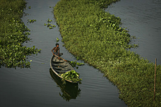 Lago nos arredores de Daca, capital do Bangladesh 