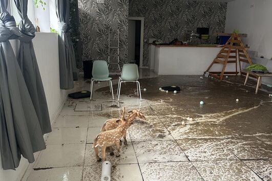 Esgotos causam prejuízo e fecham centro educativo