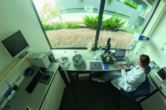 Ideias em transformação: as 'startups' e a ambição de crescimento