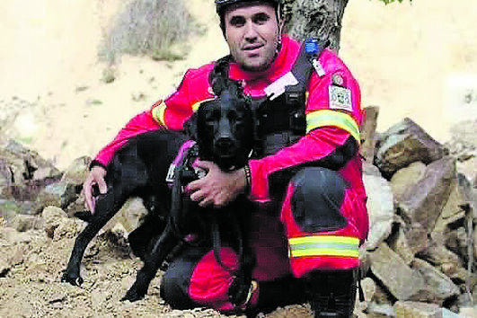 Cadela heroína dos bombeiros de São Pedro da Cova morre após homenagem