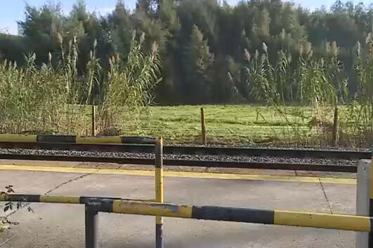 Circulação normalizada após atropelamento mortal na Linha do Minho