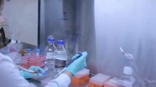 Saiba como empresas em Portugal estão a crescer ao imitar o sabor do pescado em laboratório  