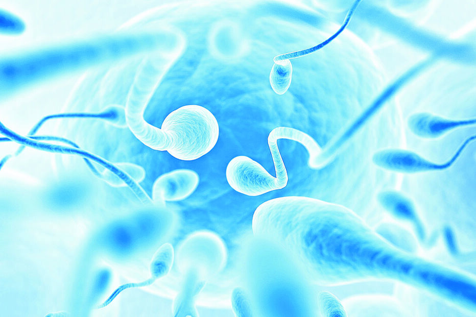 Faltam dadores de esperma e de óvulos em Portugal