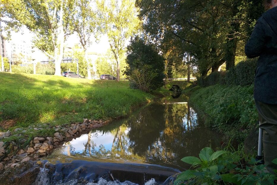 Ribeiras de Coimbra contaminadas por fármacos, revela estudo da FCTUC