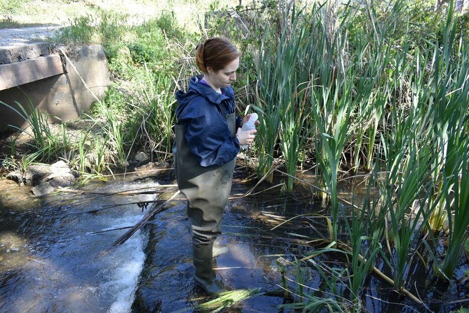Estudo revela contaminação por fármacos em ribeiras de Coimbra e outras cidades europeias