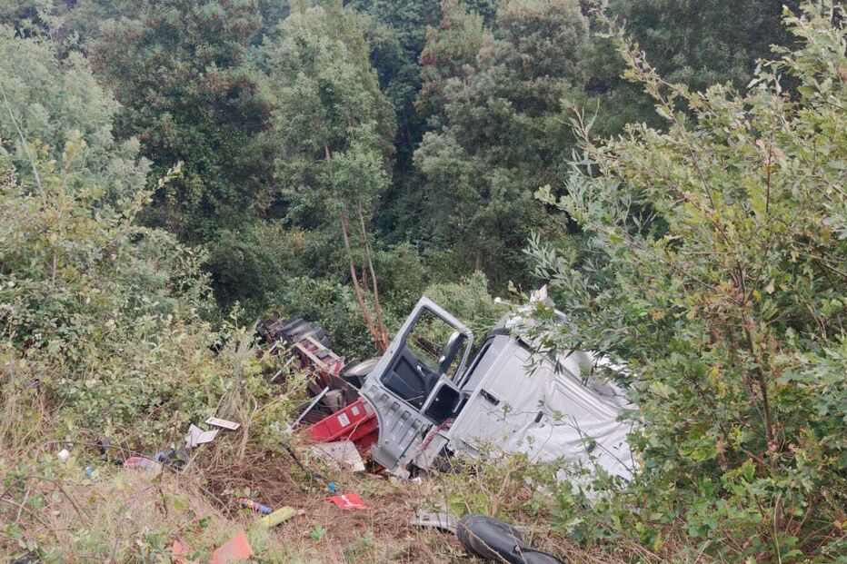 Camião sofreu acidente e caiu numa ribanceira, entre árvores