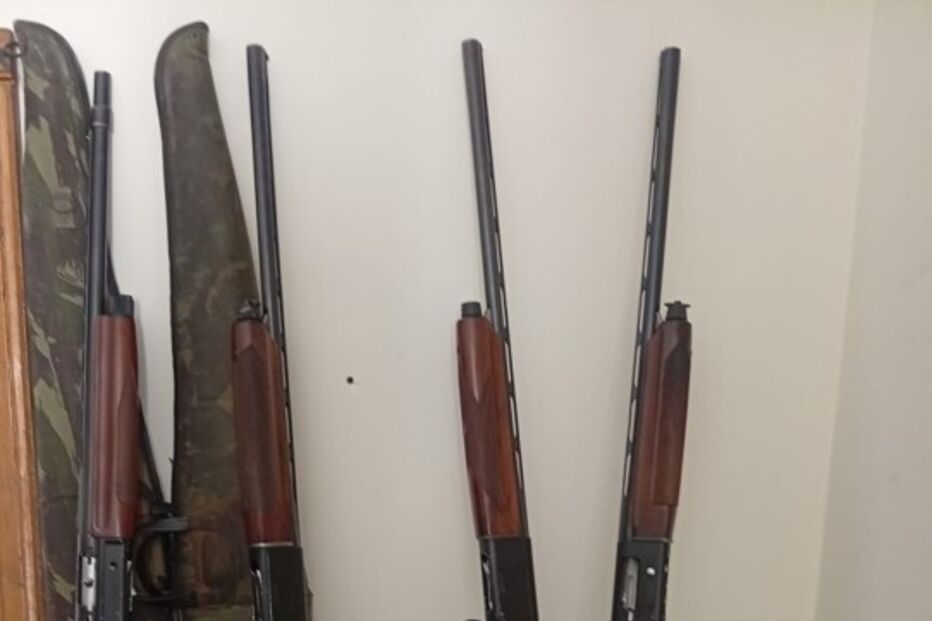 GNR apreende armas e detém indivíduos por caça ilegal perto do IP2, em Pinhel
