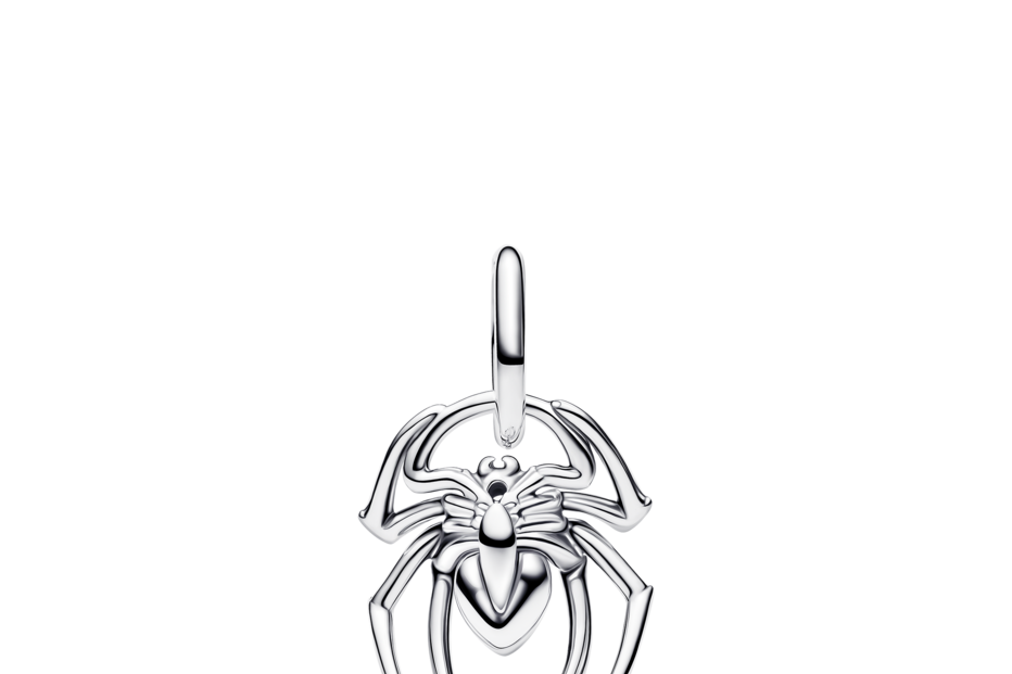 Um pendente de aranha em prata