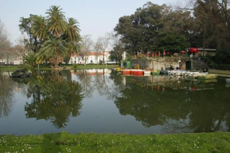Vista de um lago calmo num parque
