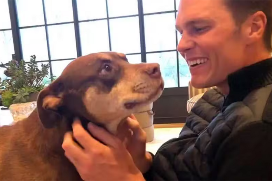 Tom Brady tem uma nova cadela, Junie, clone de Luna, que morreu em 2023