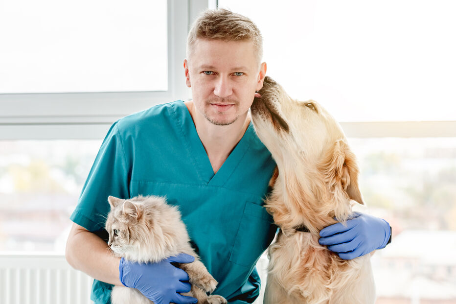 Fim das diferenças! Ordem dos Veterinários pede IVA a 6% para animais de companhia e de produção