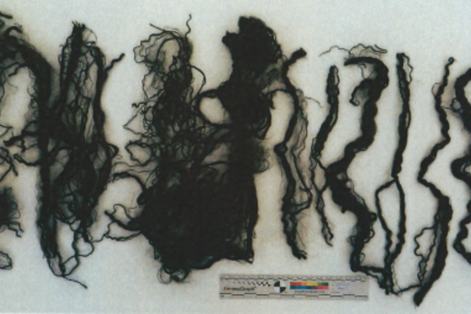 Vários fios de cabelo preto, dispostos de forma organizada e com diferentes texturas