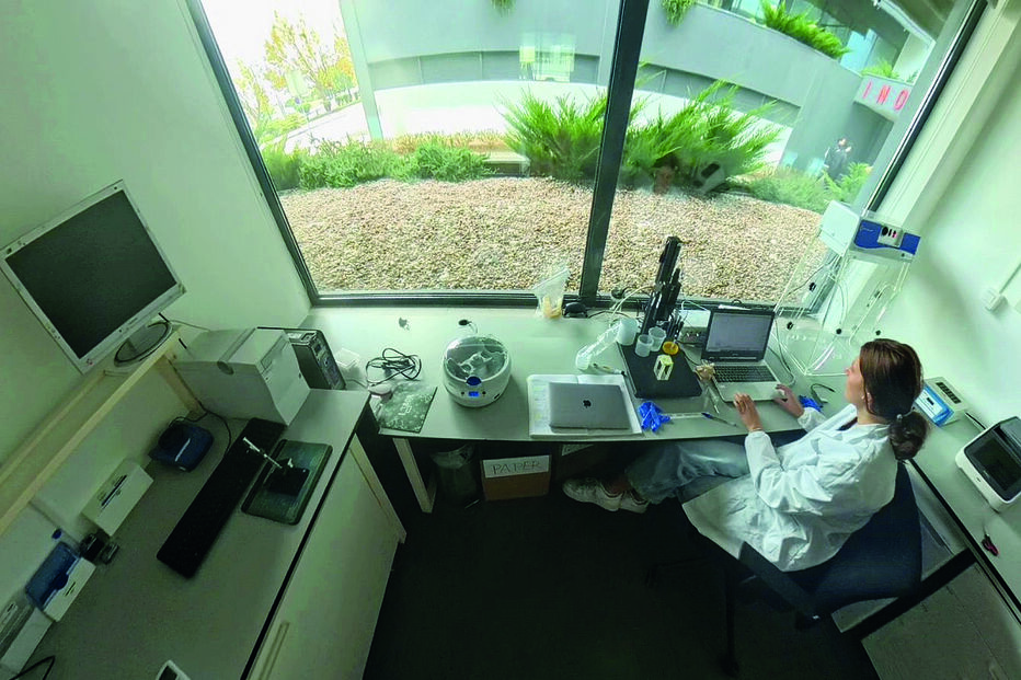 Ideias em transformação: as 'startups' e a ambição de crescimento