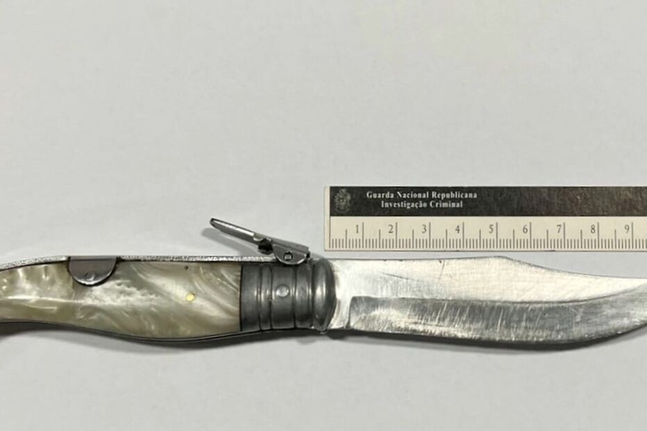 GNR detém casal por furto a empresa no Fundão