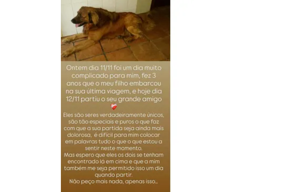 Dono lamenta a perda do seu cão, no aniversário da partida do filho