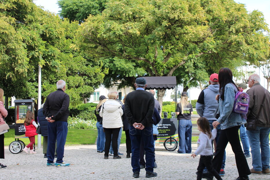 C-Studio IMG_0703.JPG