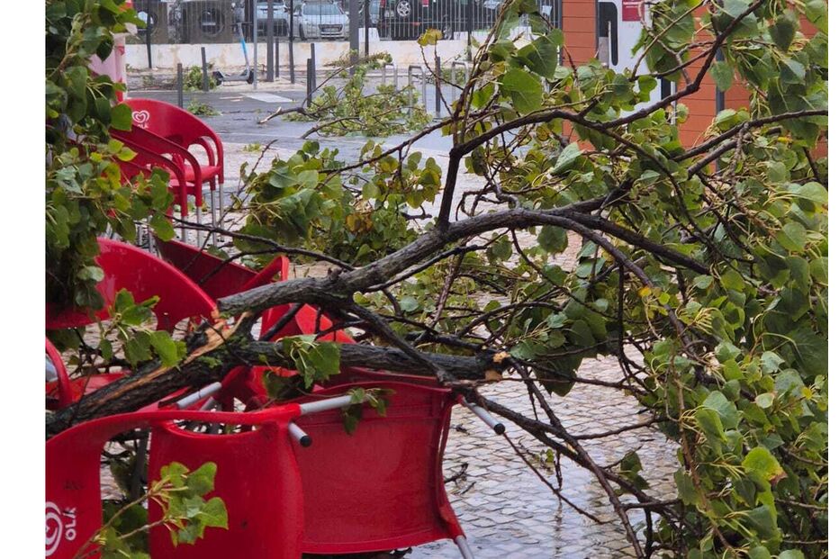 Mau tempo em Olhão provoca estragos