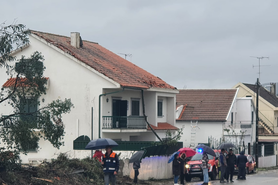 Casa danificada após queda de árvore com bombeiros no local
