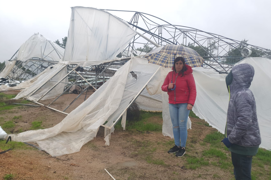 Estufas destruídas após condições meteorológicas adversas afetam produtores