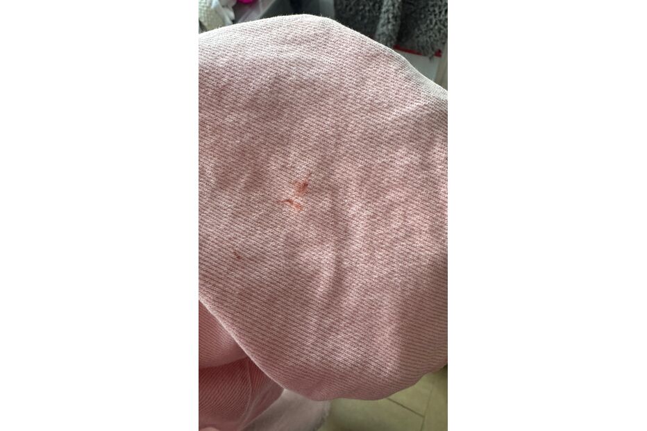 Namorada de Fábio Porchat ferida após tentativa de assalto em São Paulo