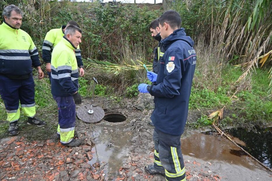 Derrame de combustível em Valados dos Frades mobiliza bombeiros e GNR