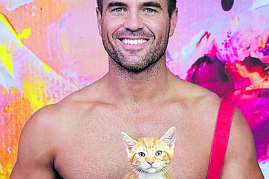 Bombeiros posaram com cães, patos, coalas e gatos, entre outros animais 