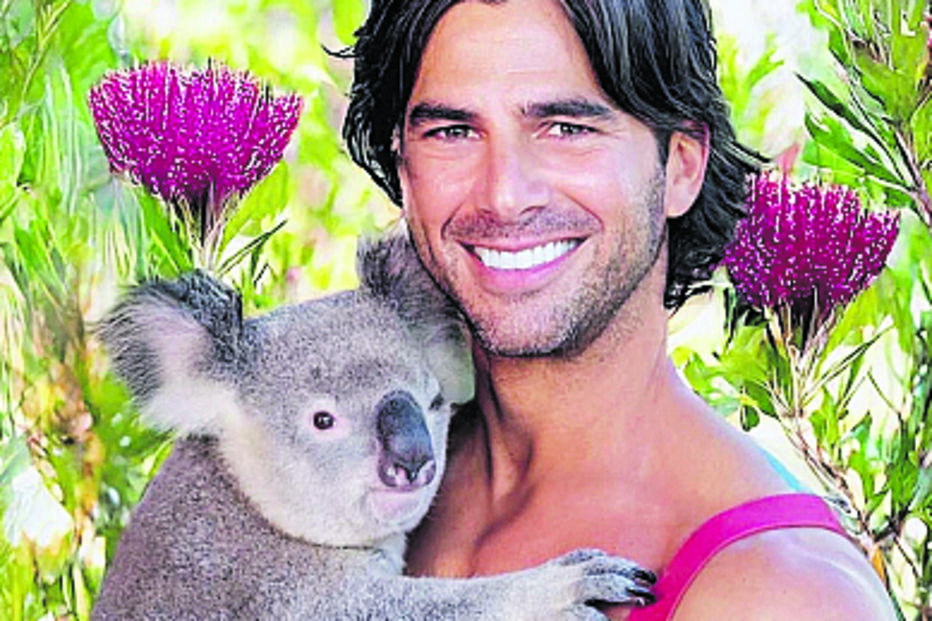 Bombeiros posaram com cães, patos, coalas e gatos, entre outros animais 