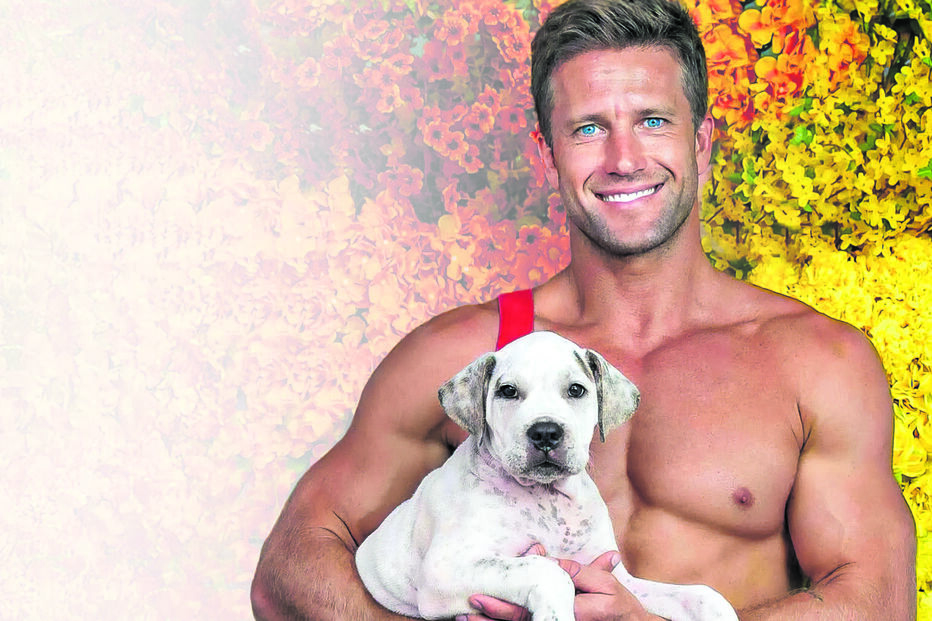 Bombeiros posaram com cães, patos, coalas e gatos, entre outros animais 