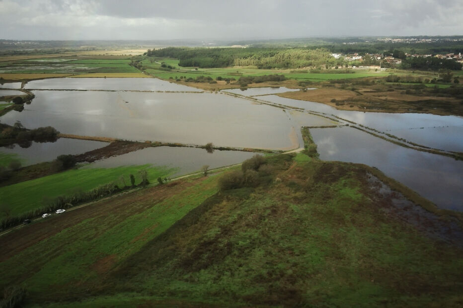 Cheias no Vale do Lis causam prejuízos de 1,5 milhões de euros na agricultura