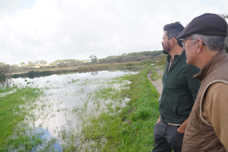 Agricultores avaliam prejuízos de 1,5 milhões de euros no Vale do Lis devido a culturas submersas