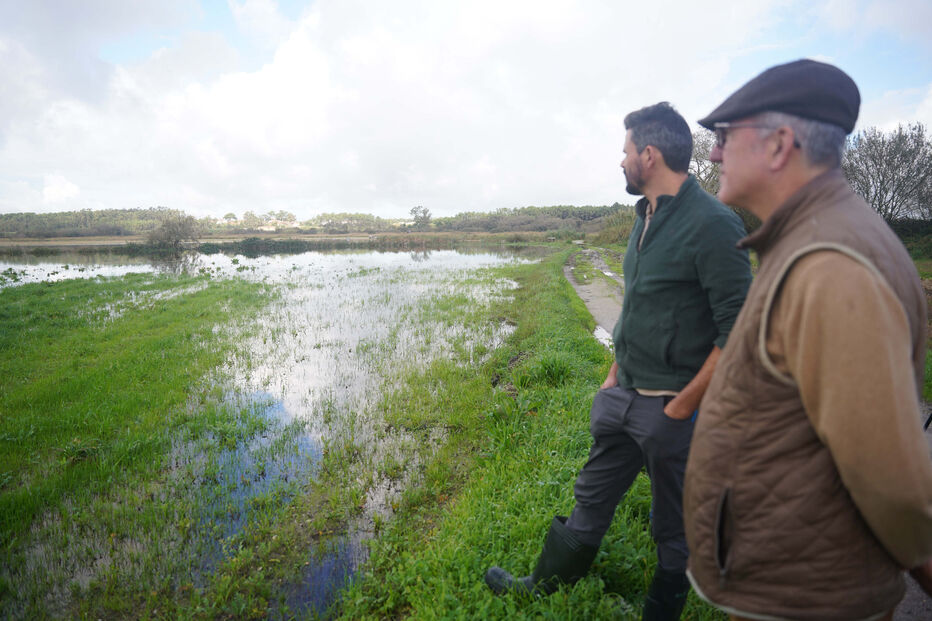 Agricultores avaliam prejuízos de 1,5 milhões de euros no Vale do Lis devido a cheias