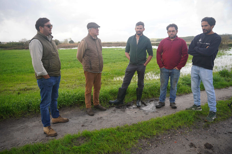 Agricultores do Vale do Lis calculam prejuízos de 1,5 milhões de euros devido à chuva