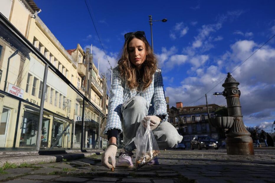 Estudantes do Porto recolhem pontas de cigarro para sensibilizar para o impacto do tabaco