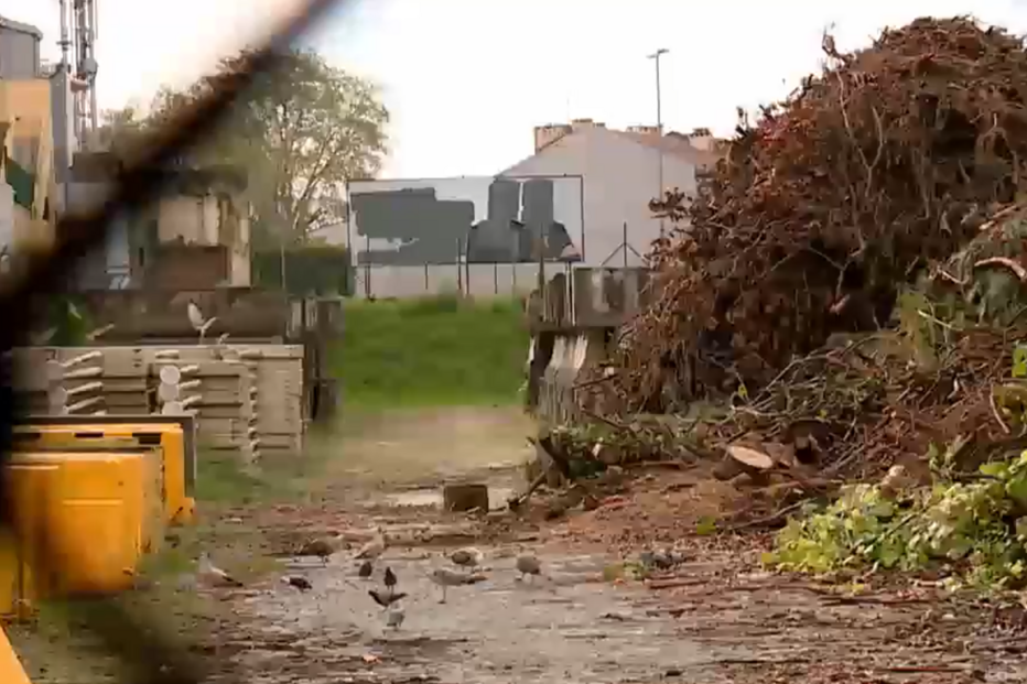 Lixo acumulado em estaleiro no centro urbano do Porto já está ao nível de uma casa de primeiro andar