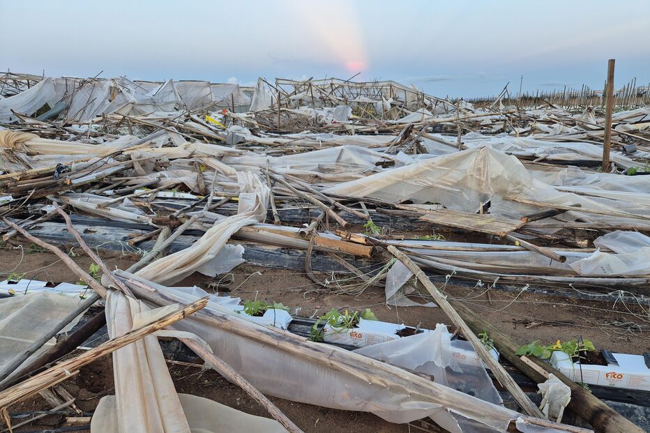 Tornado causa destruição em plantação de citrinos em Lagoa