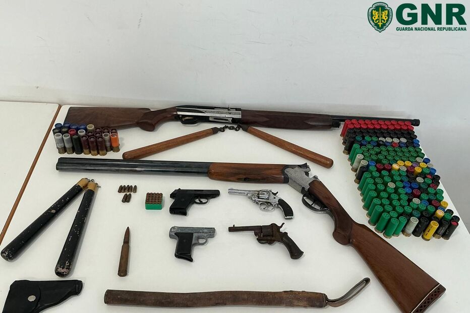 Homem de 71 anos detido em Braga por matar cavalo a tiro