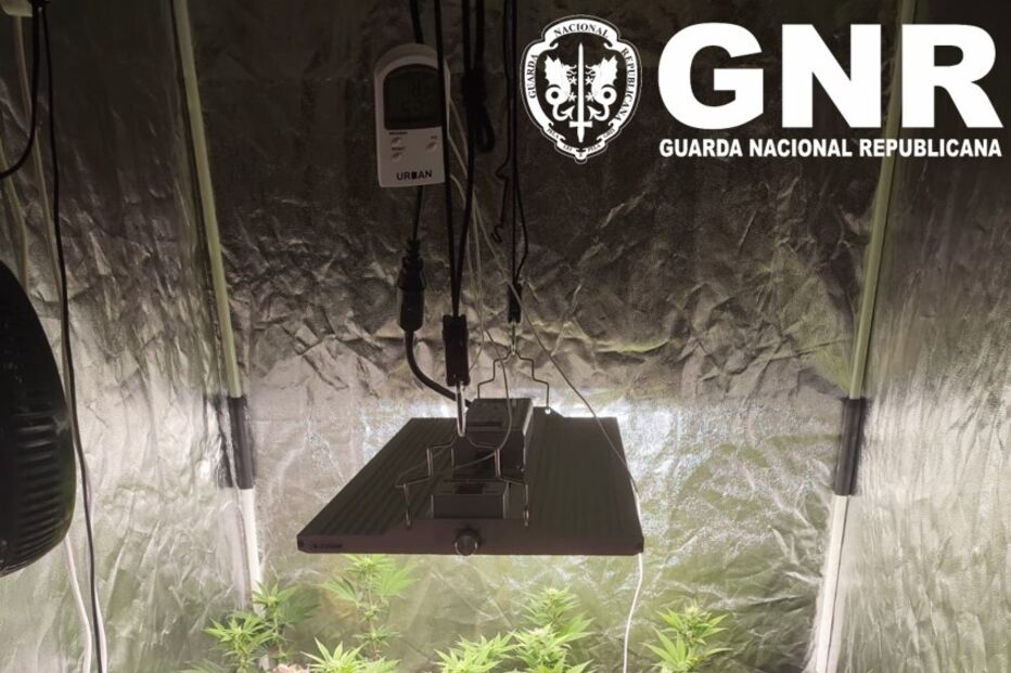 Droga que foi apreendida pela GNR