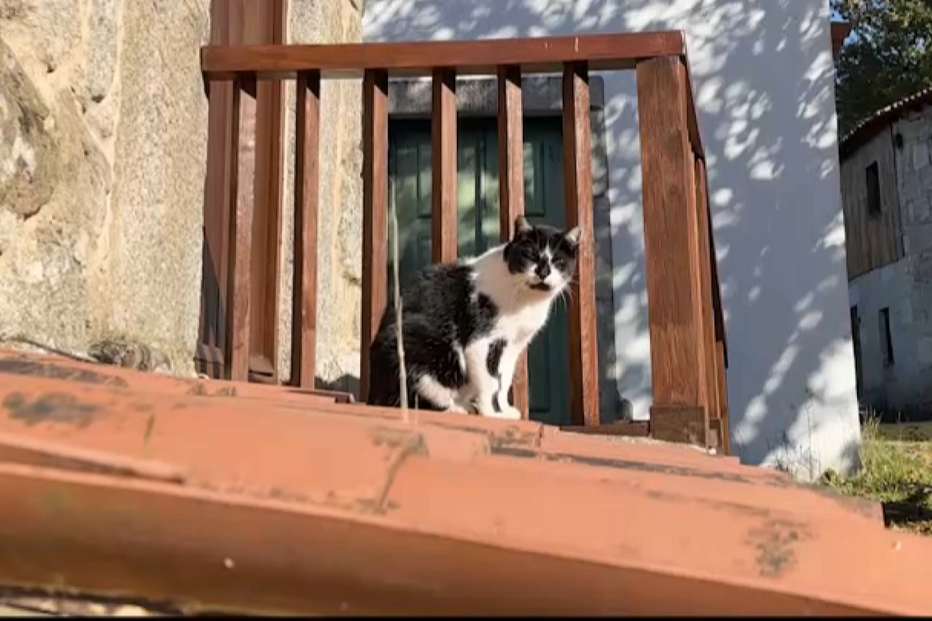 Aldeia histórica à venda por 1,7 milhões de euros foi restaurada antes de cair no abandono