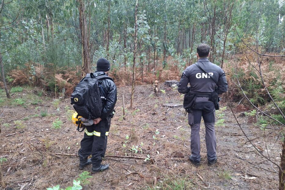 Homem de 70 anos desaparecido em Valença
